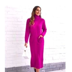 Turtle neck Knit dress